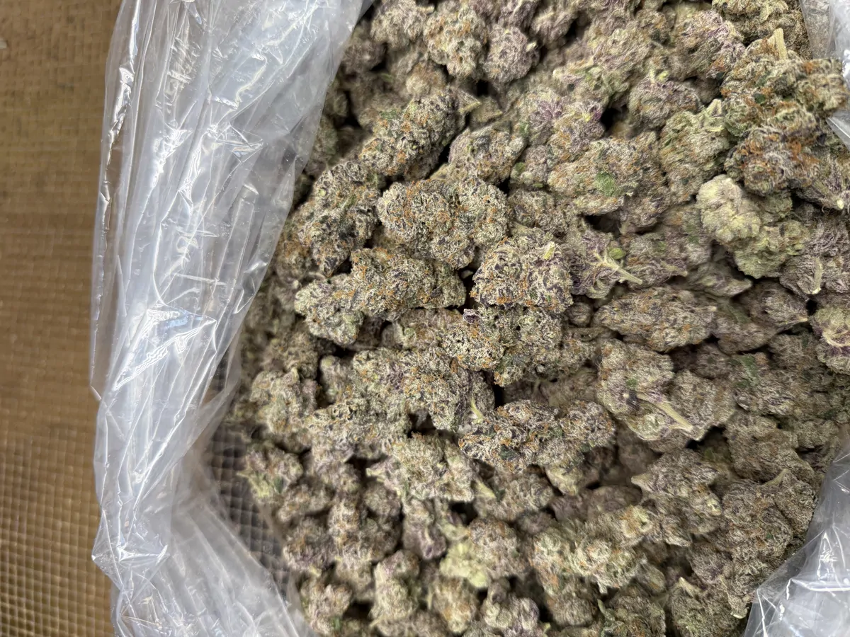 Lemon Cherry Gelato Flower